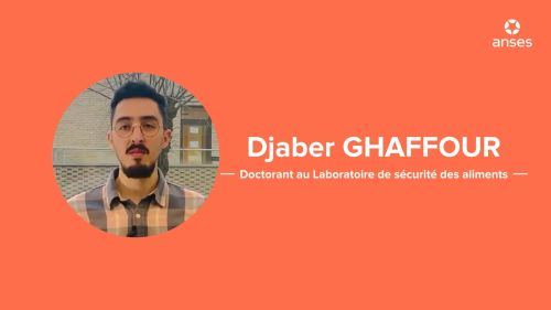 Thèse de Djaber Ghaffour, doctorant au sein du laboratoire de sécurité des aliments de l’Anses